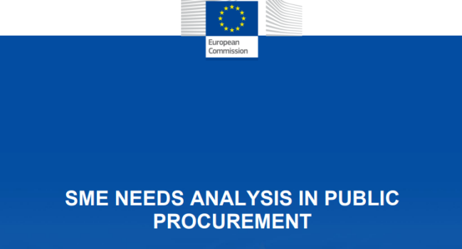 An analysis of SMEs’ needs in public procurement.